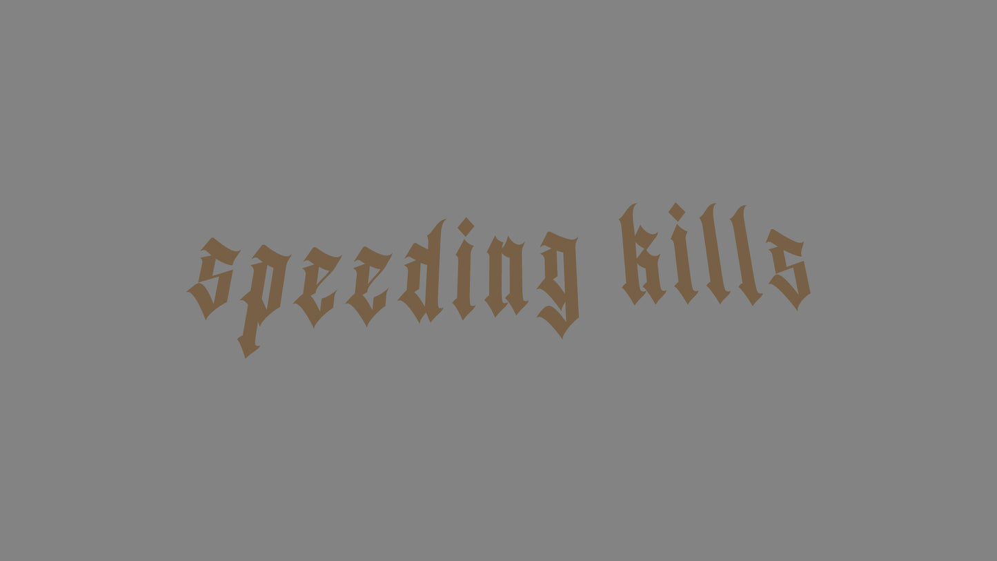 Sticker - speeding kills