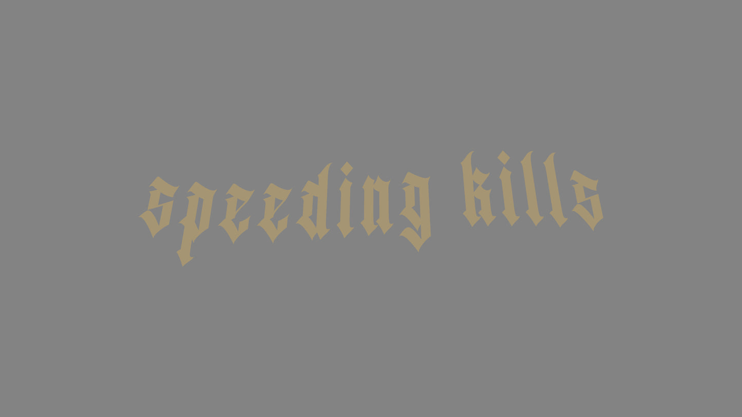 Sticker - speeding kills