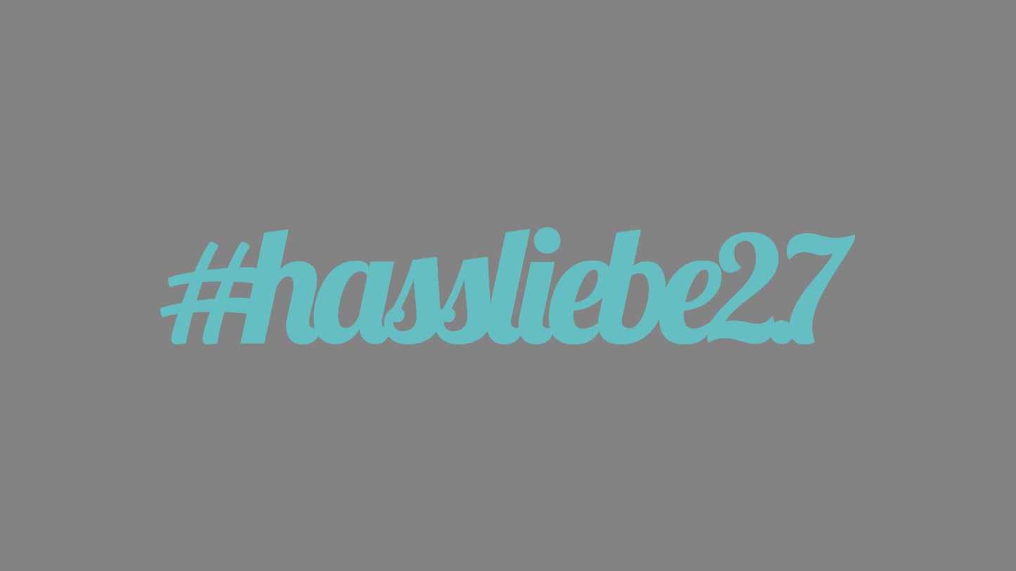 Sticker - #hassliebe2.7