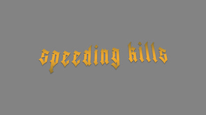 Sticker -  speeding kills