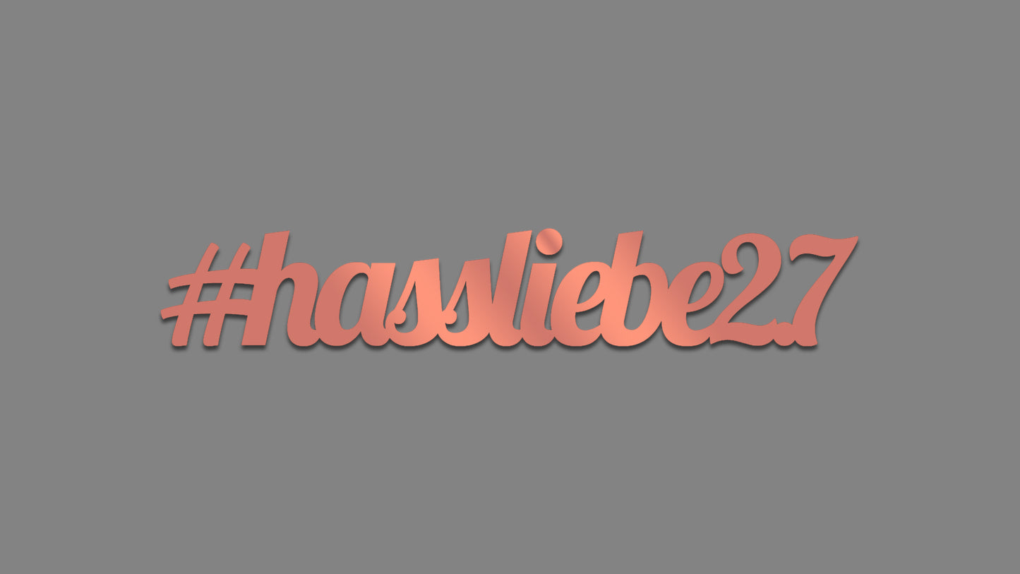 Sticker - #hassliebe2.7