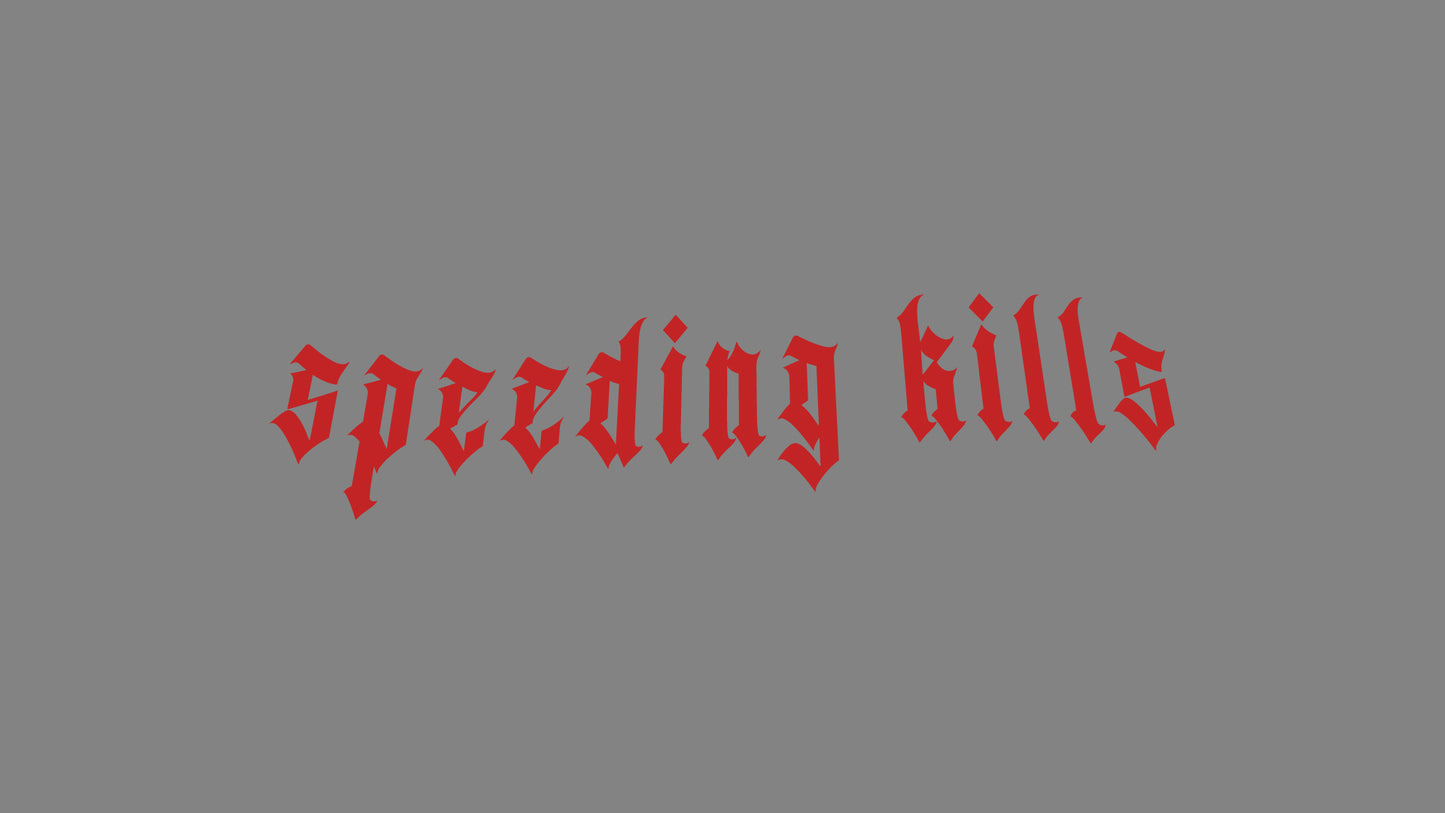 Sticker -  speeding kills